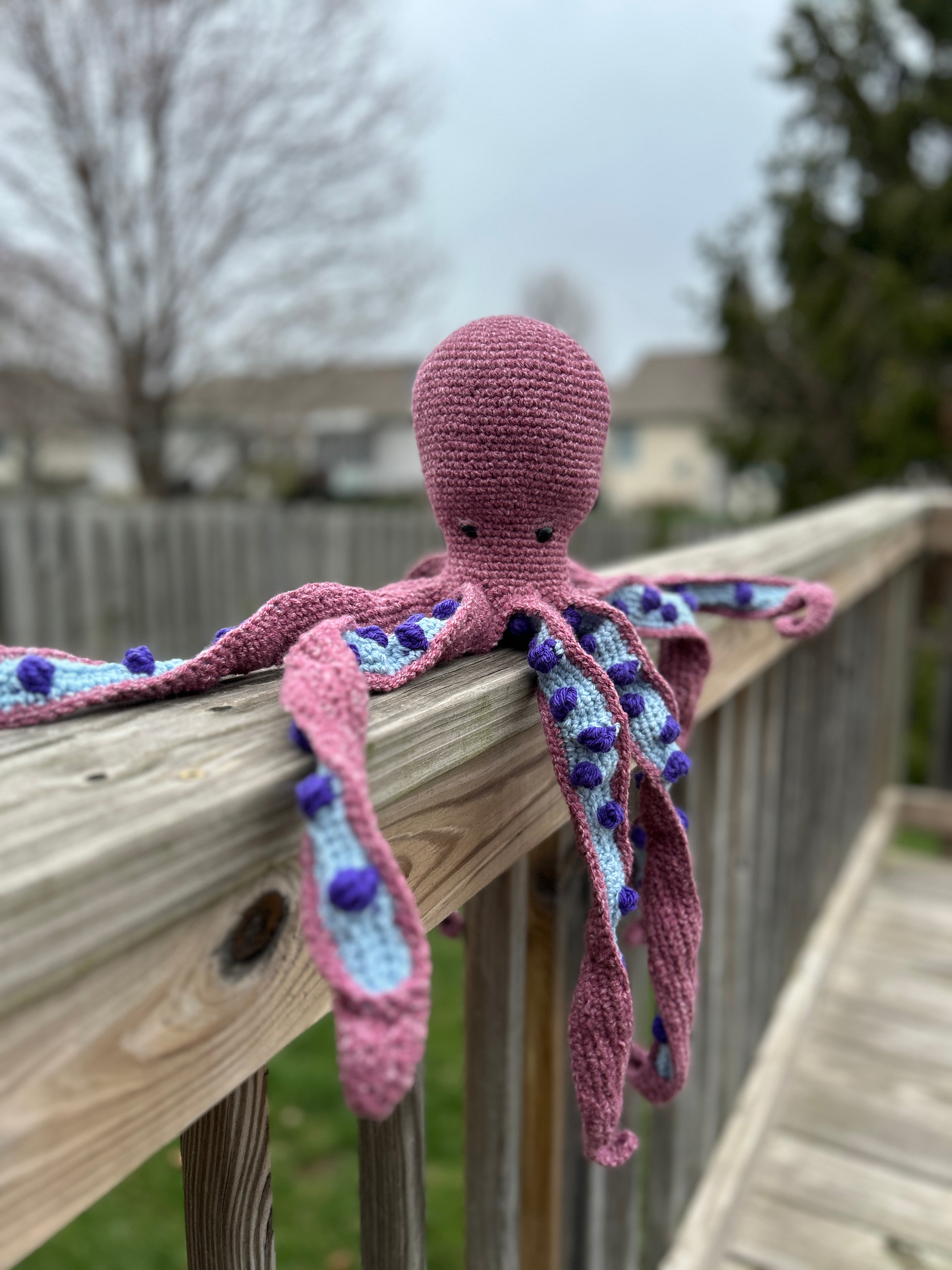 Octopus ( named Tentaclese )!