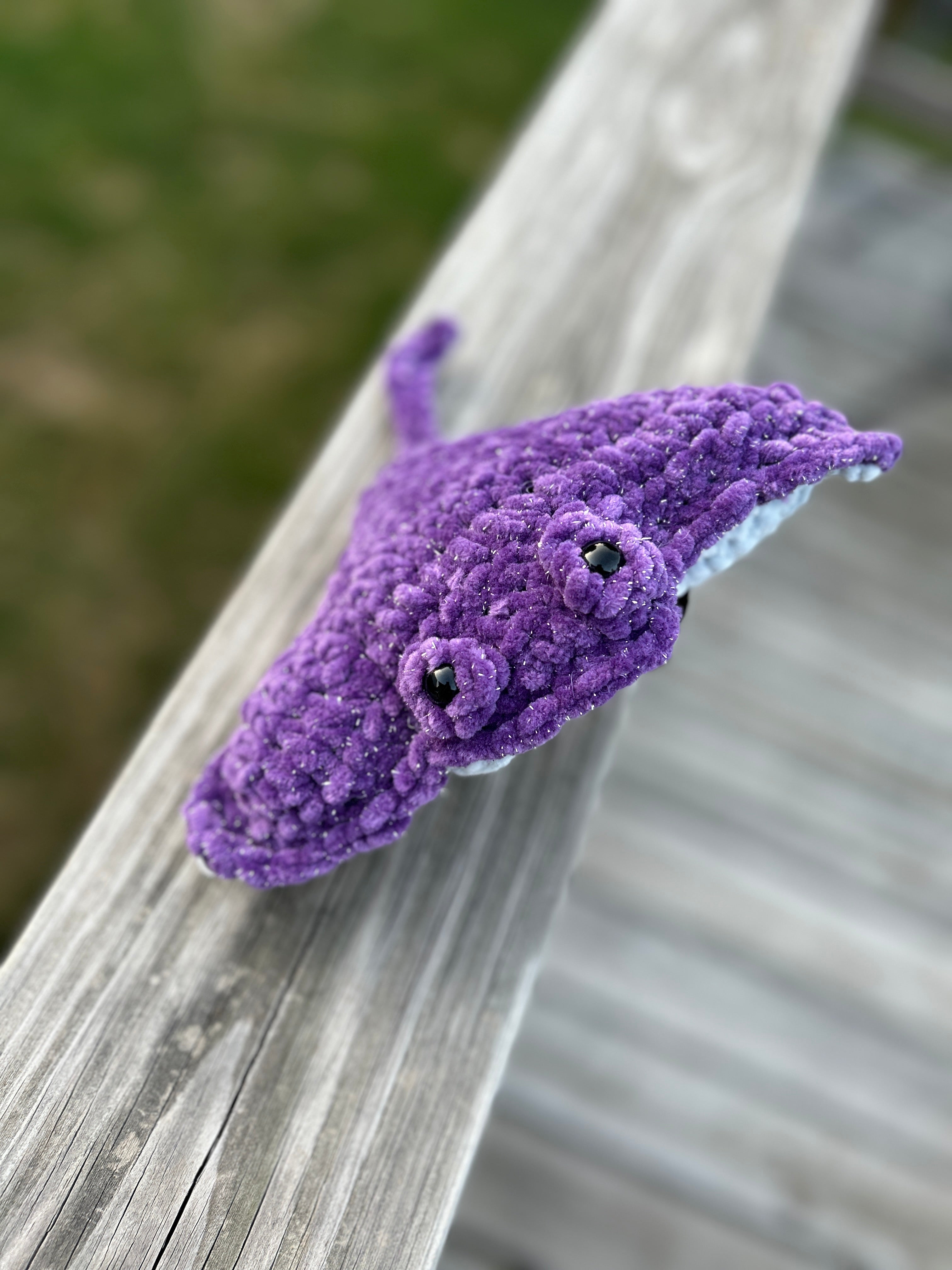 Connor, the mantaray